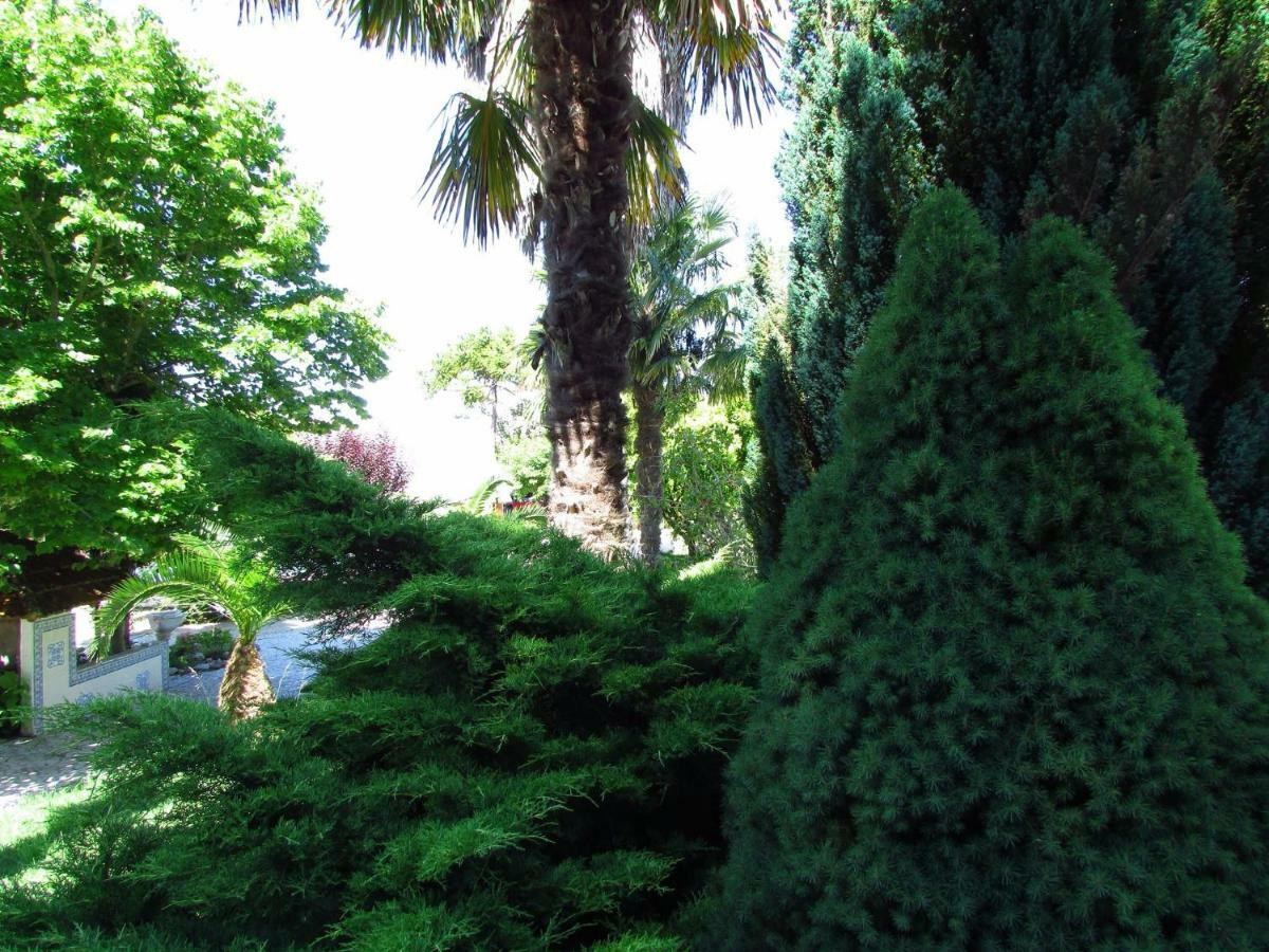 Quinta Do Guerra Βίλα Boldrarias Εξωτερικό φωτογραφία