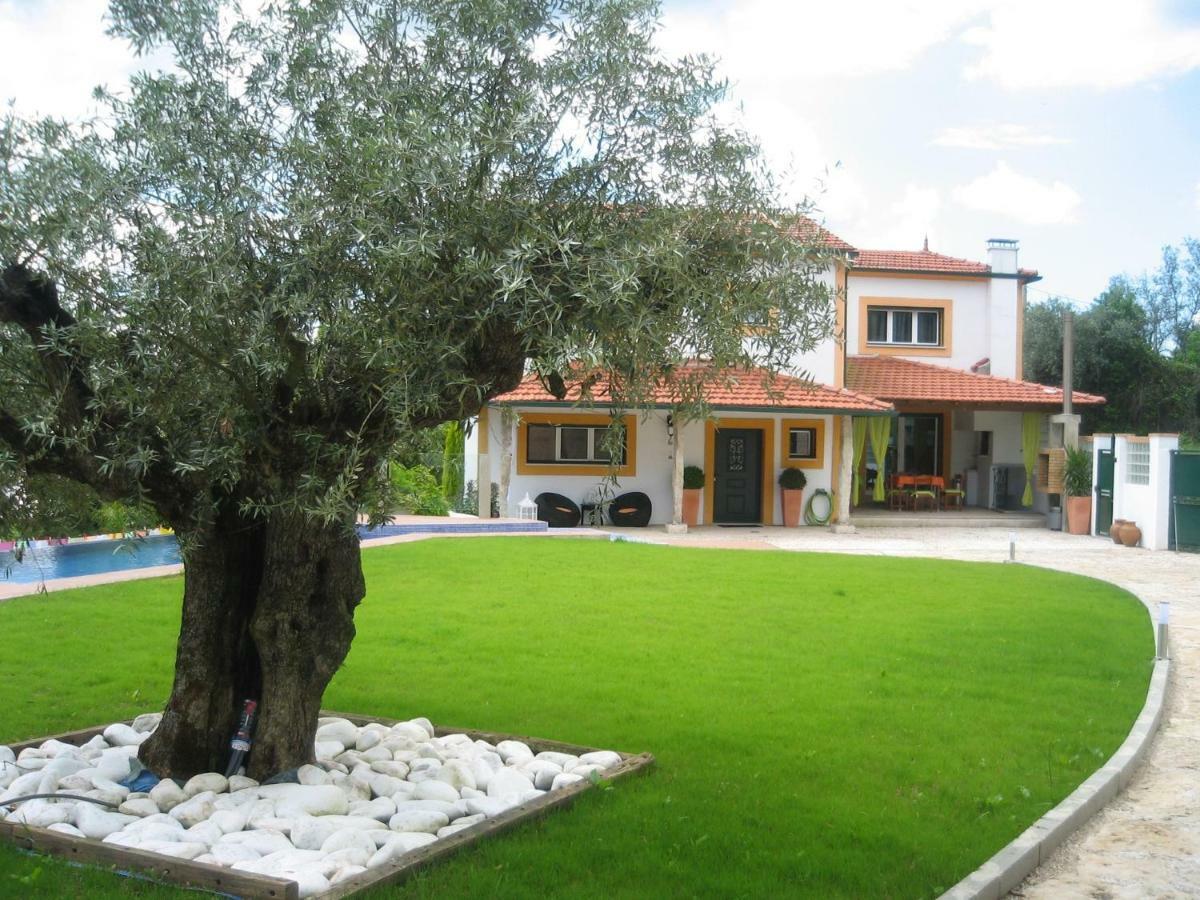 Quinta Do Guerra Βίλα Boldrarias Εξωτερικό φωτογραφία