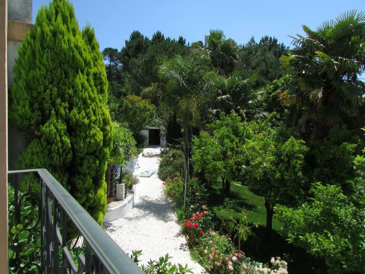 Quinta Do Guerra Βίλα Boldrarias Εξωτερικό φωτογραφία
