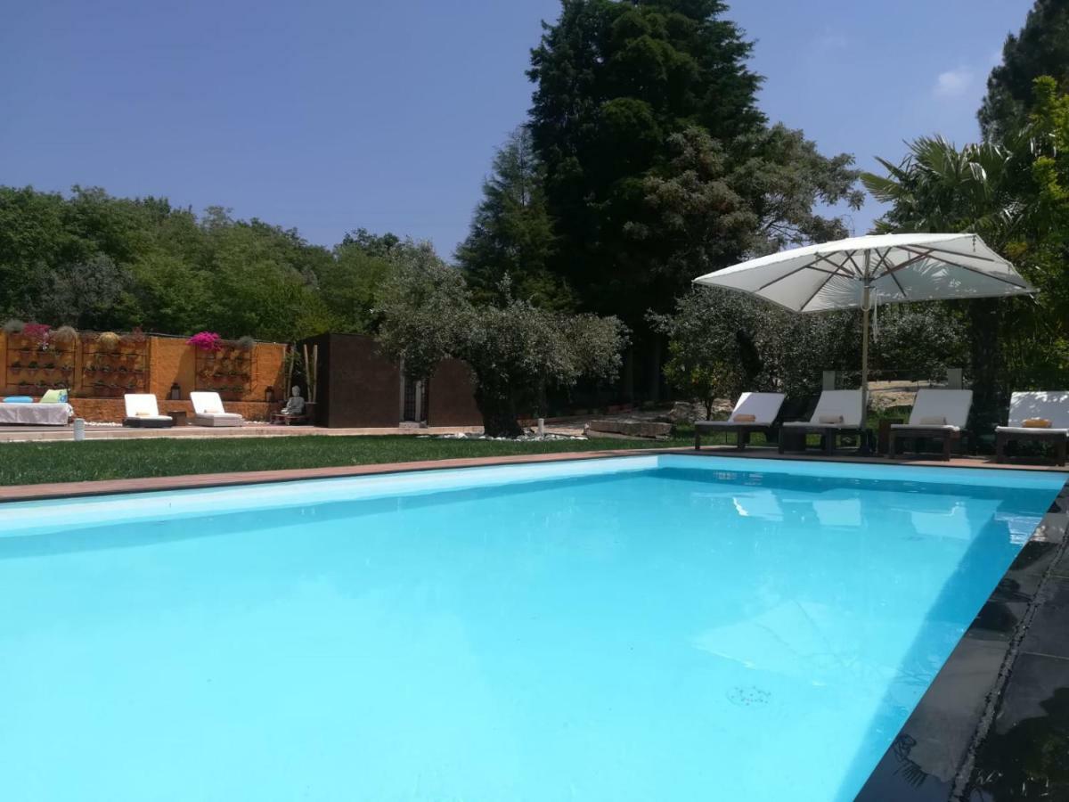 Quinta Do Guerra Βίλα Boldrarias Εξωτερικό φωτογραφία